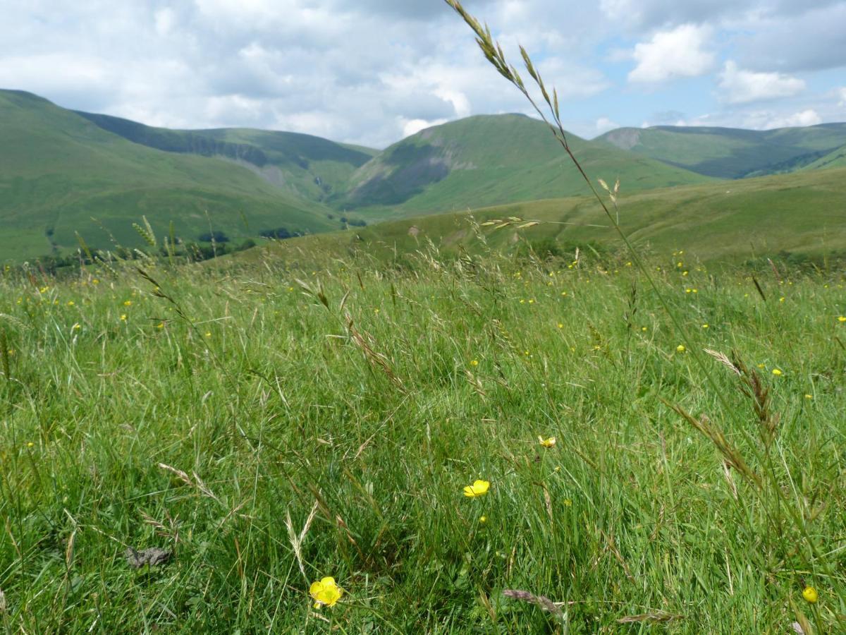 Howgill * Sedbergh